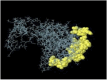 graphic file with name 41598_2024_55372_Figd_HTML.gif