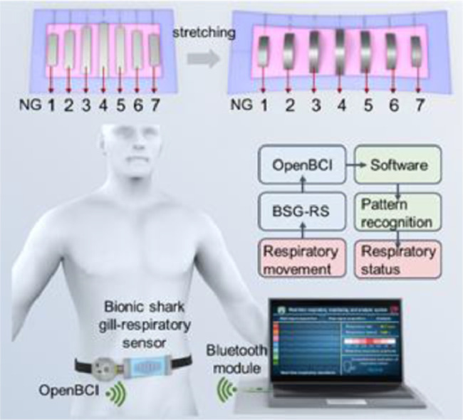 Image, graphical abstract