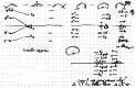 Figure 47