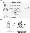 Figure 40