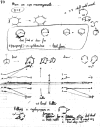 Figure 26