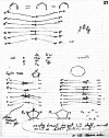 Figure 45