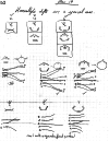 Figure 37