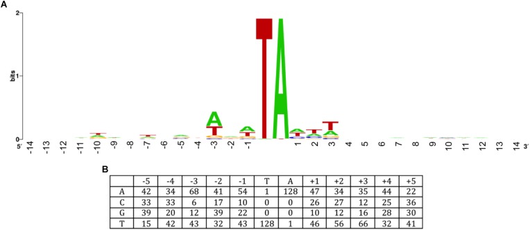 FIGURE 4