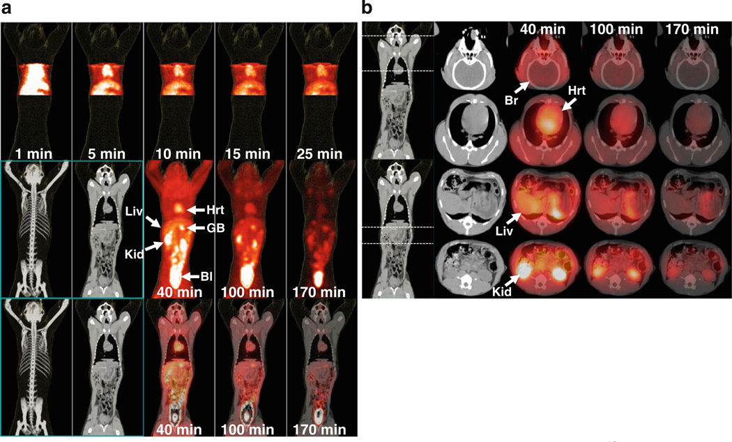 Fig. 3