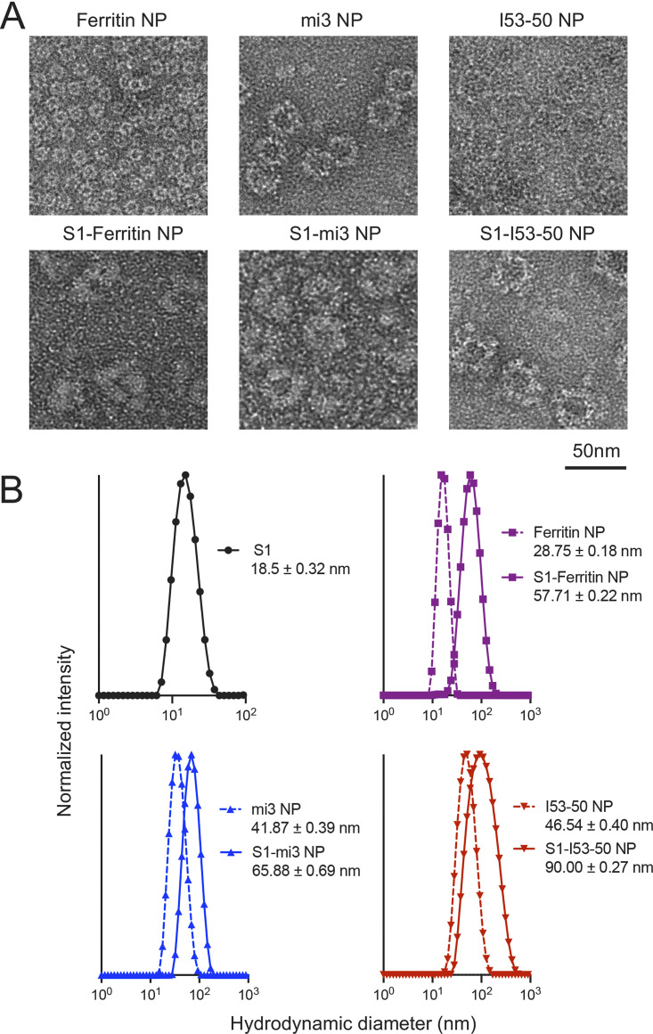 FIG 3