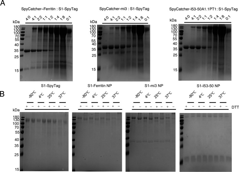 FIG 2