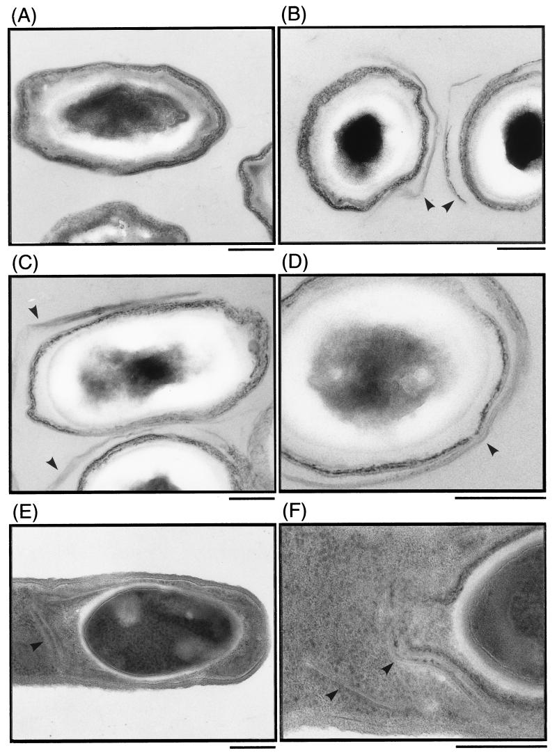 FIG. 8