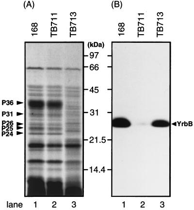 FIG. 7