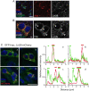 Fig 6