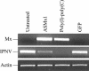 FIG. 5.