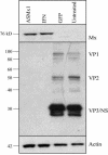 FIG. 4.