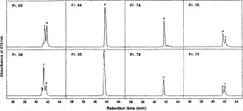 Fig. 17