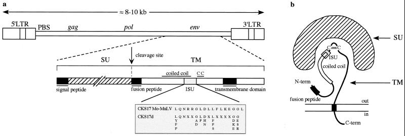 FIG. 1