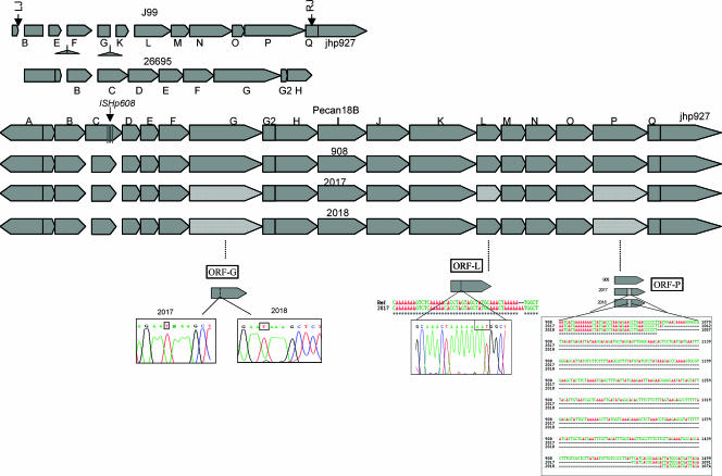 FIG. 2.