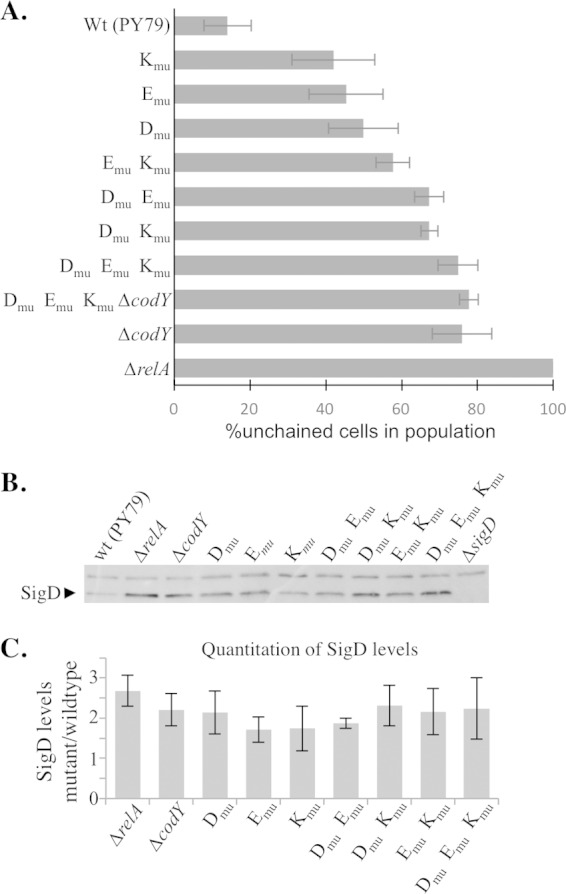 FIG 6