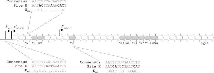 FIG 4