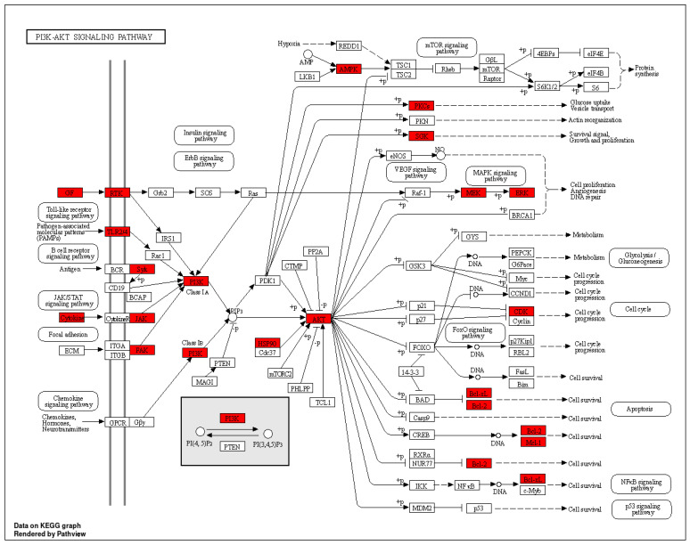 Figure 12