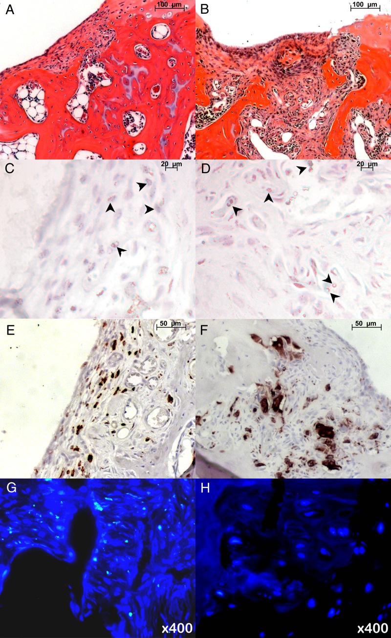 Figure 4: