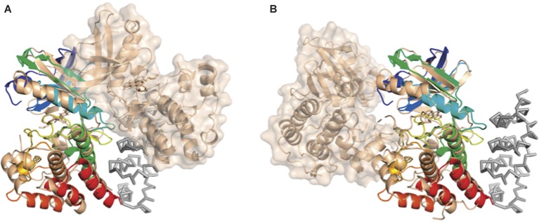 Figure 7