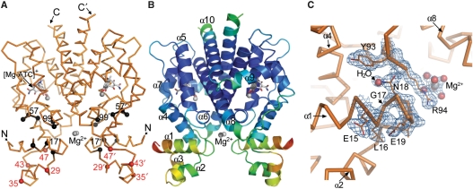 Figure 4.