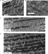 Figure 5
