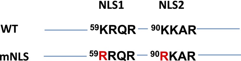 Fig. S1.