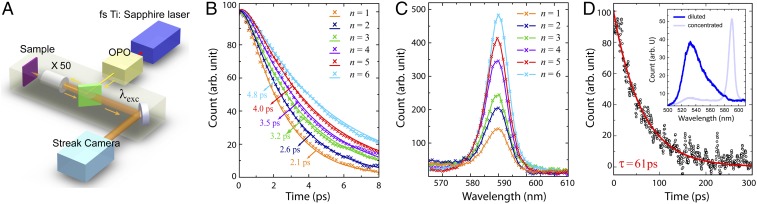 Fig. 4.