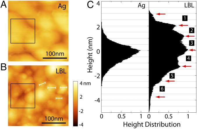 Fig. 3.