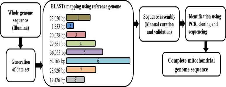 Fig 1