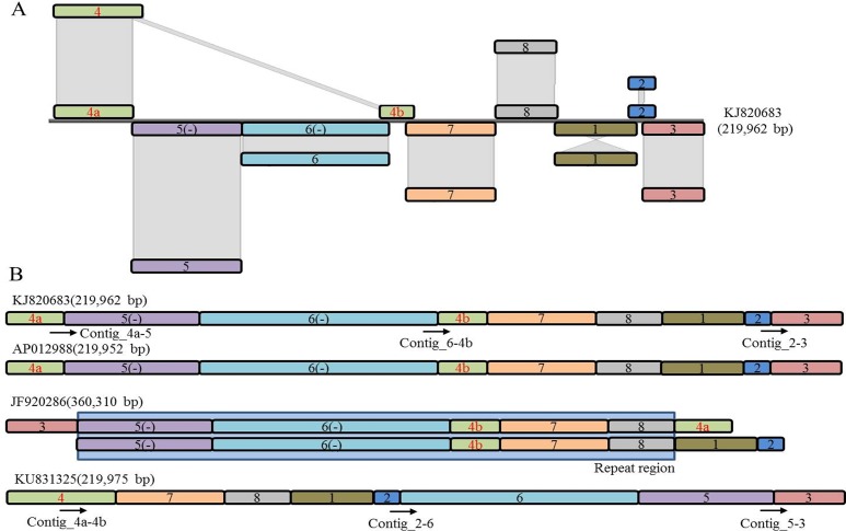 Fig 3