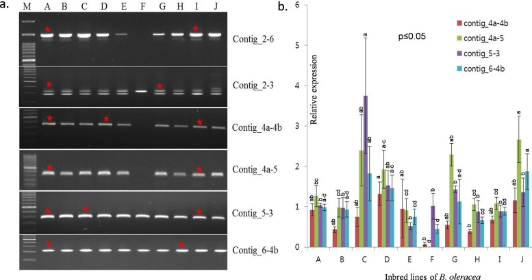 Fig 4