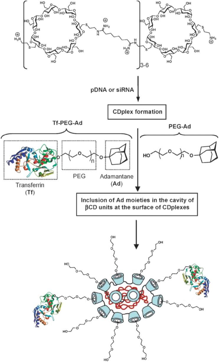 Figure 2