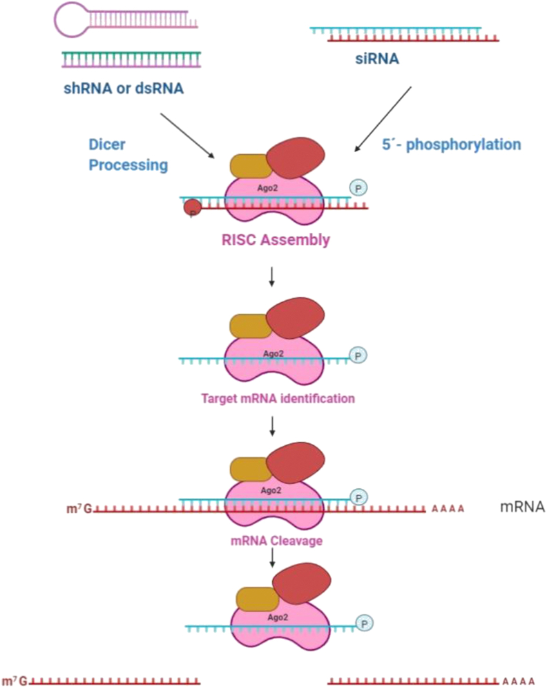 Figure 1