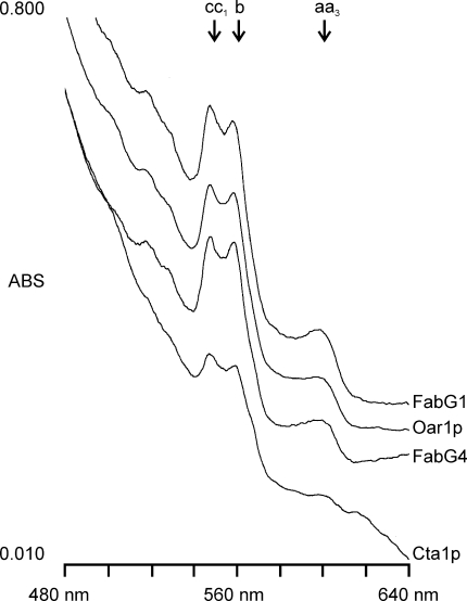 Fig. 3