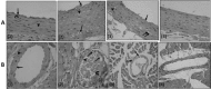 Fig. 8