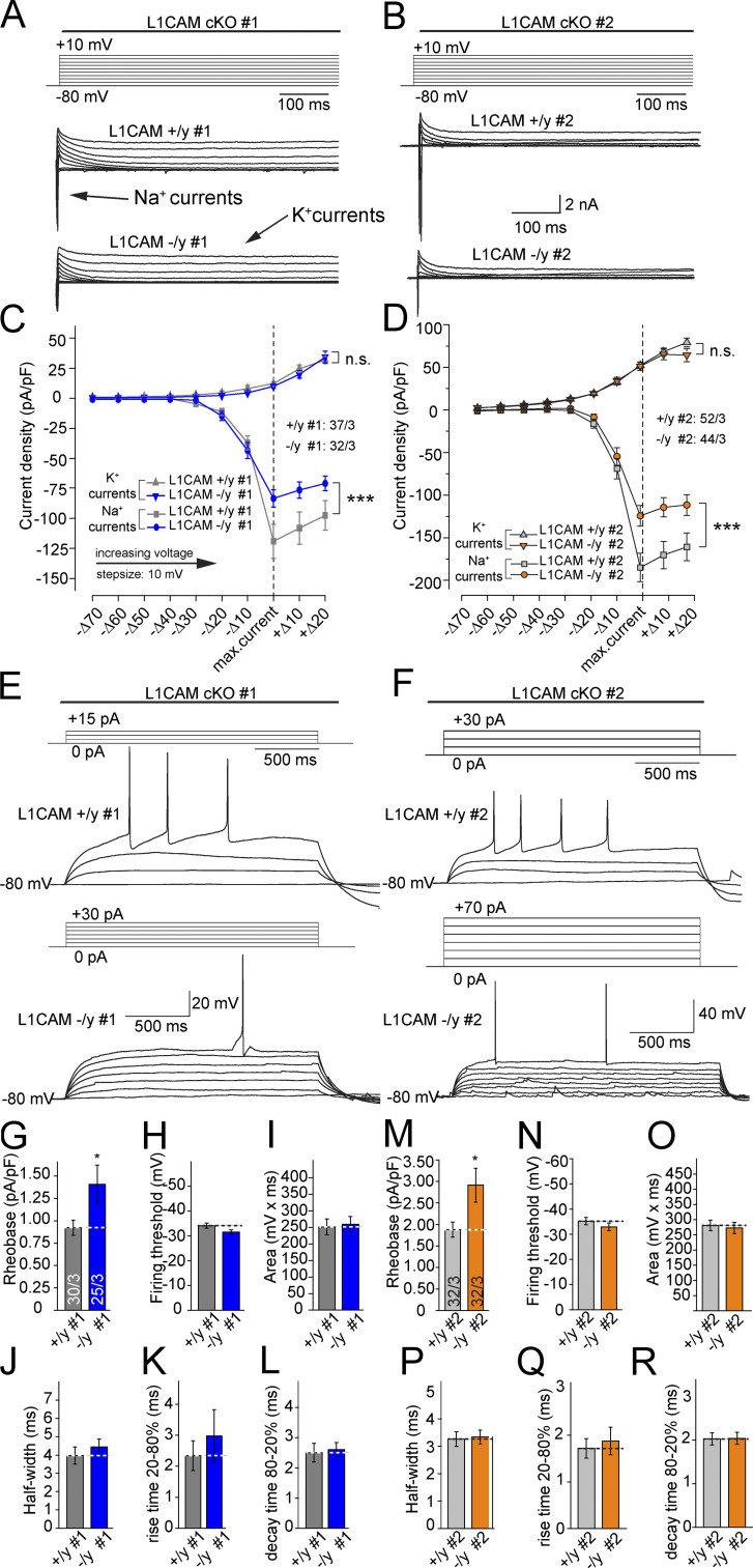 Figure 9.