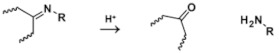 graphic file with name molecules-25-05649-i001.jpg