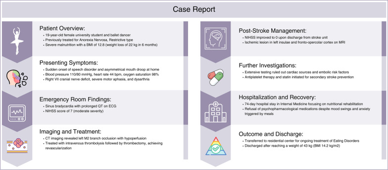 graphic file with name 40337_2024_1074_Figa_HTML.jpg