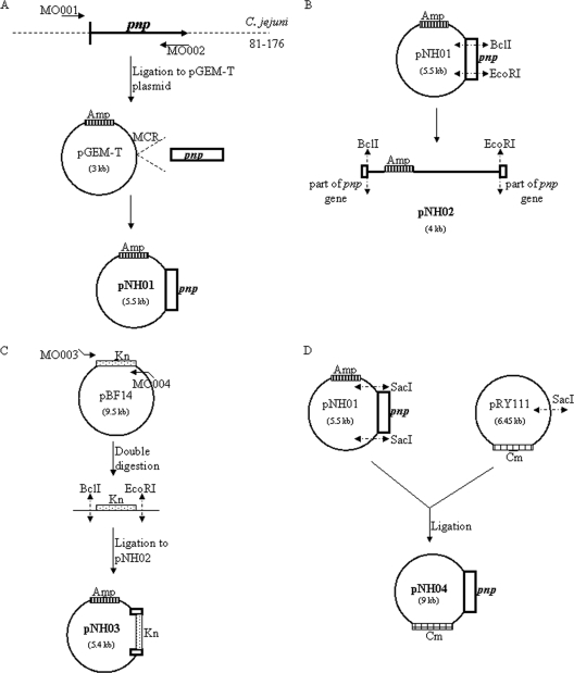 FIG. 1.