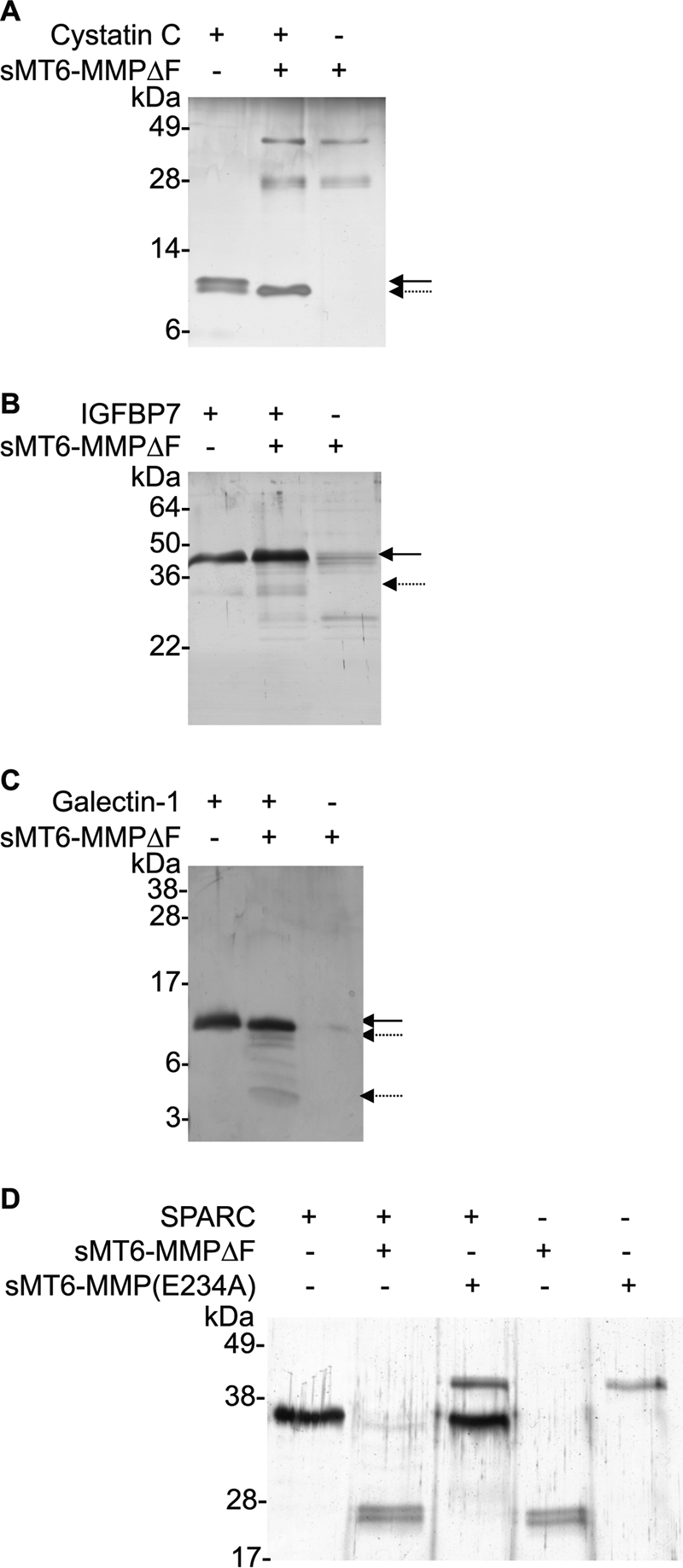 FIGURE 5.