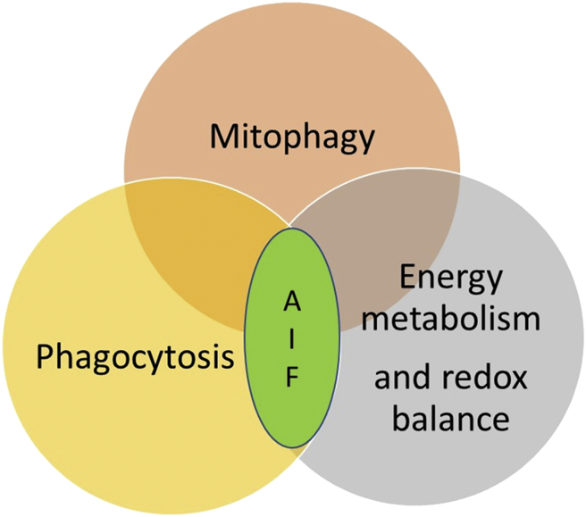 Fig. 1