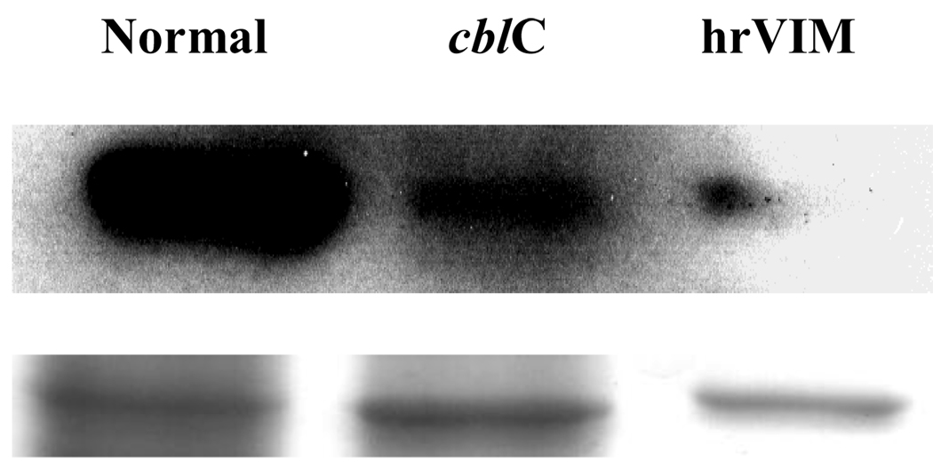 Fig. 6