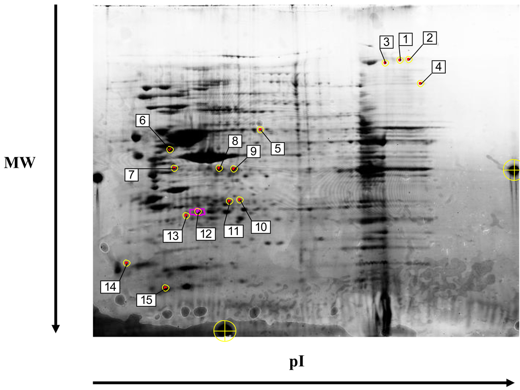 Fig. 3