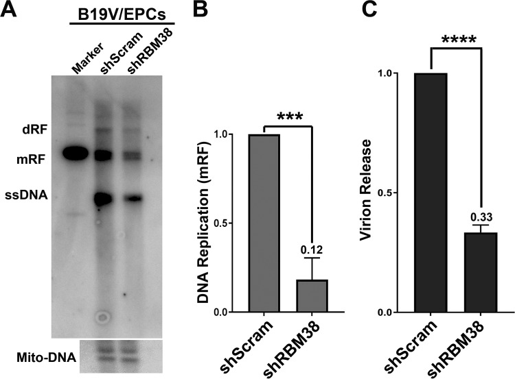 FIG 6