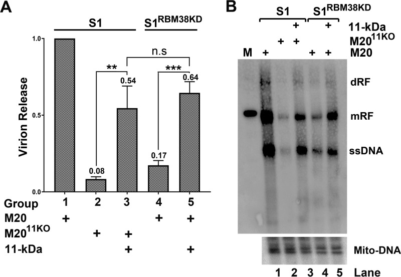 FIG 8