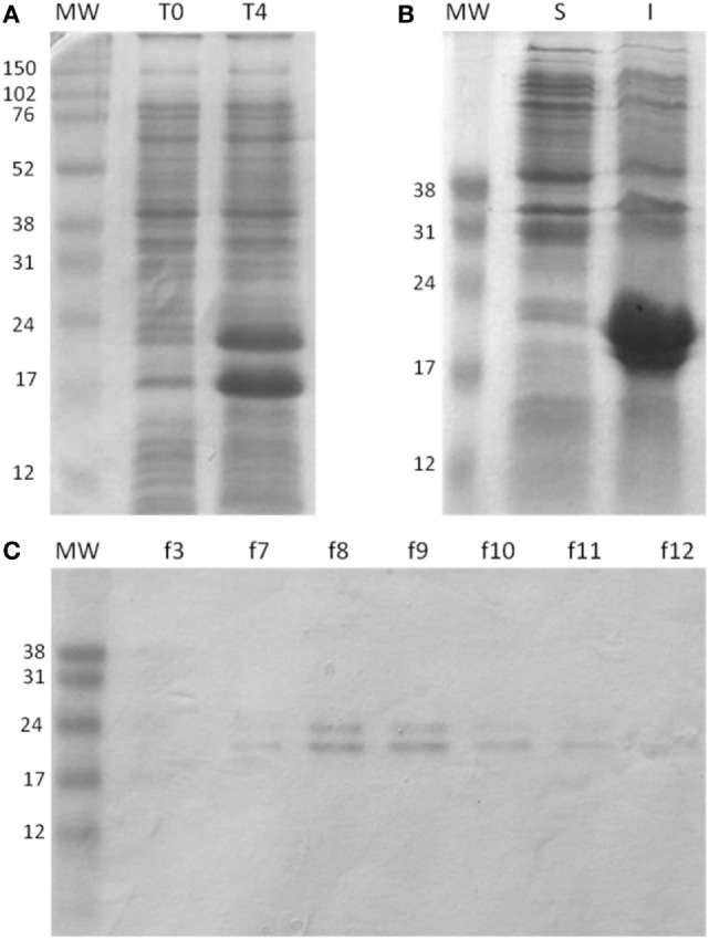 Figure 4