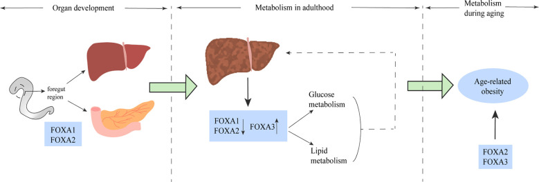 Figure 6