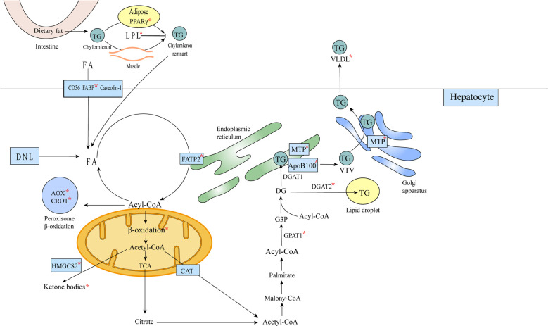 Figure 5