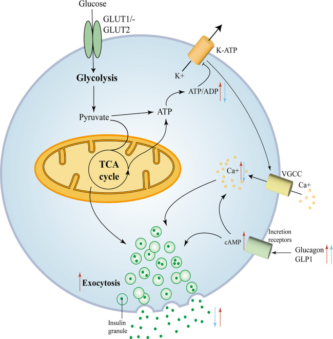 Figure 3